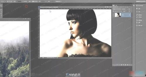 爆料技巧方法视频教程全集,视频教程全集深度解析